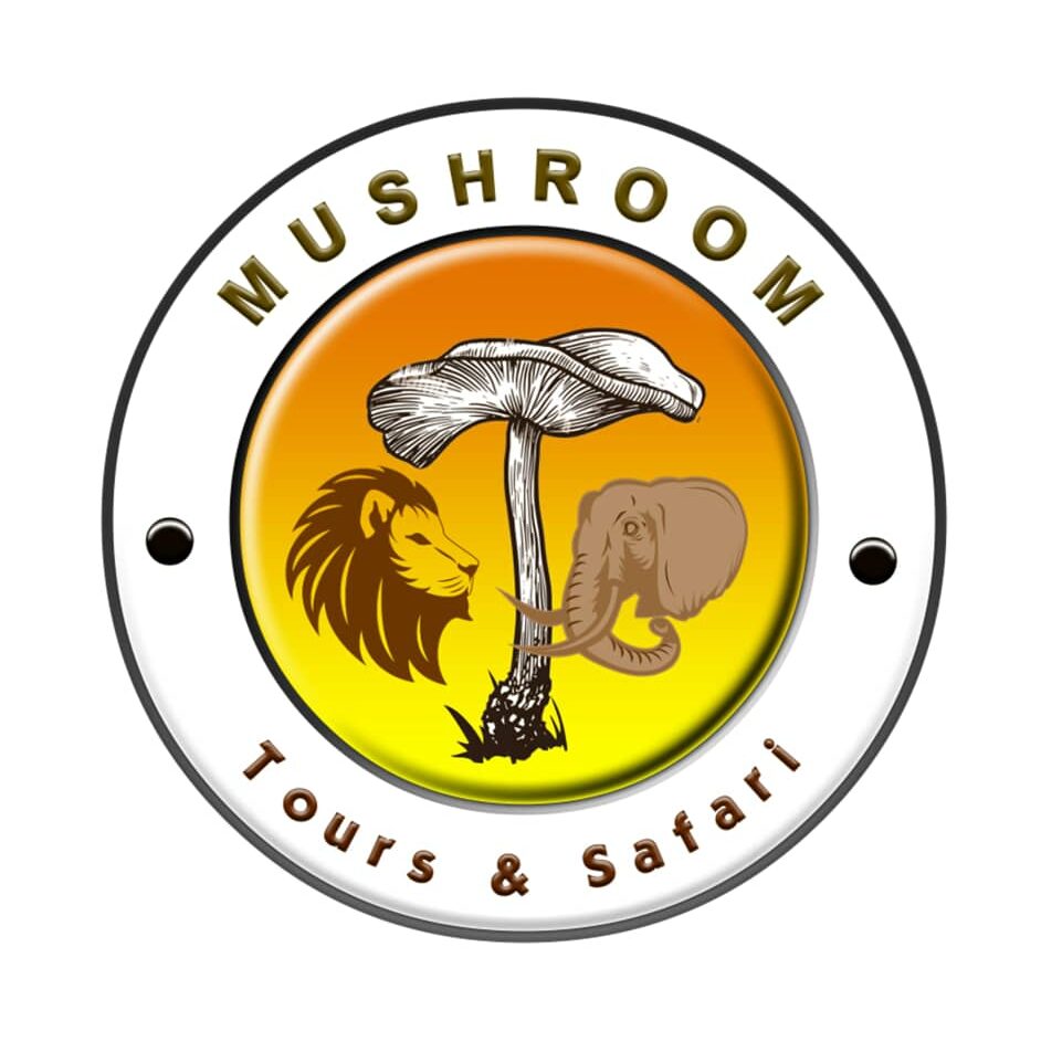 Mushroom Tours & Safari Site Icone