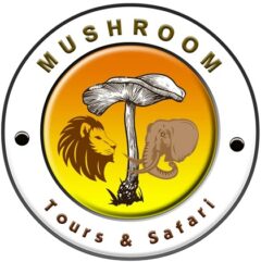 Mushroom Tours and Safari